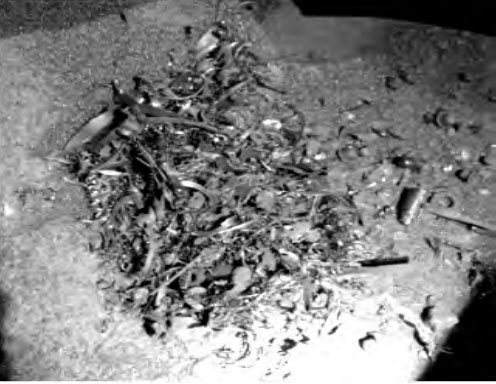 分離器清理出來的異物 分離器清理出來的異物